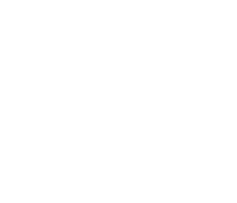 ACI Novo Hamburgo